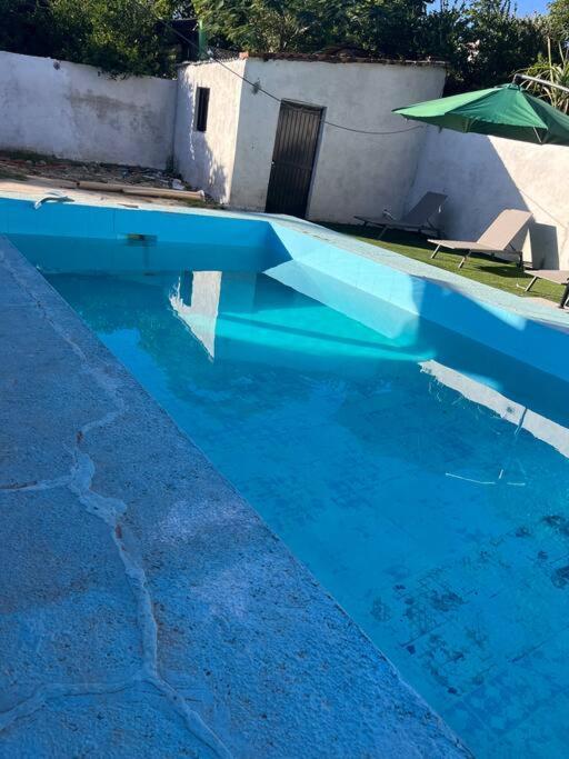 Flores Condominios Depa Lili อาลามอส ภายนอก รูปภาพ